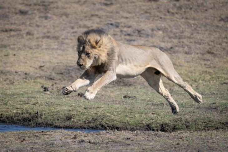 Jackalberry Chobe Hotel Kasane Luaran gambar